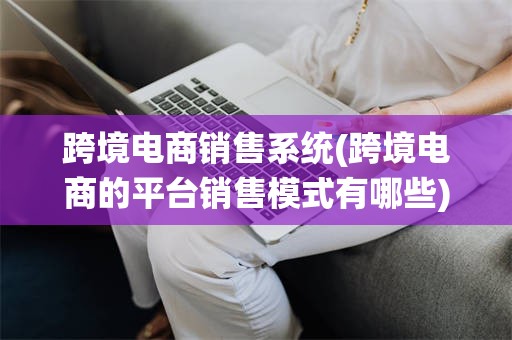 跨境电商销售系统(跨境电商的平台销售模式有哪些)