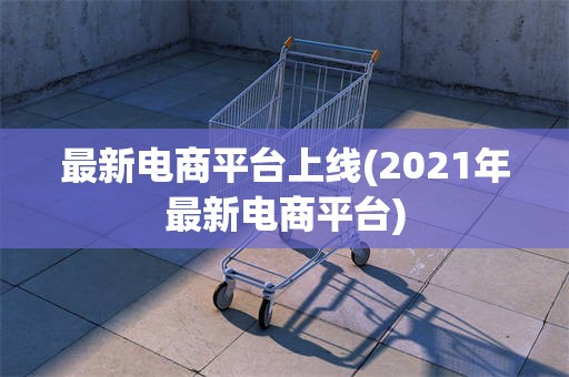 最新电商平台上线(2021年最新电商平台)