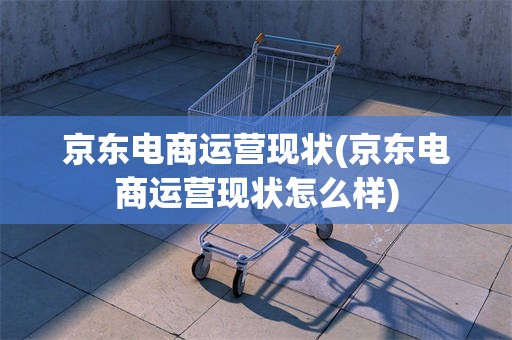 京东电商运营现状(京东电商运营现状怎么样)