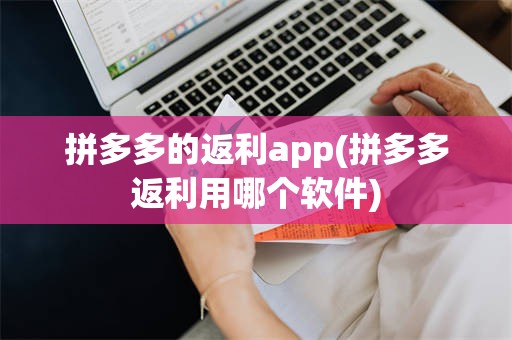 拼多多的返利app(拼多多返利用哪个软件)