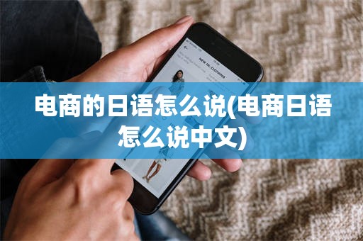 电商的日语怎么说(电商日语怎么说中文)