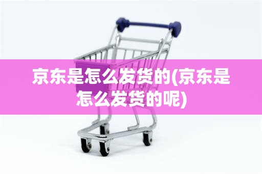 京东是怎么发货的(京东是怎么发货的呢)