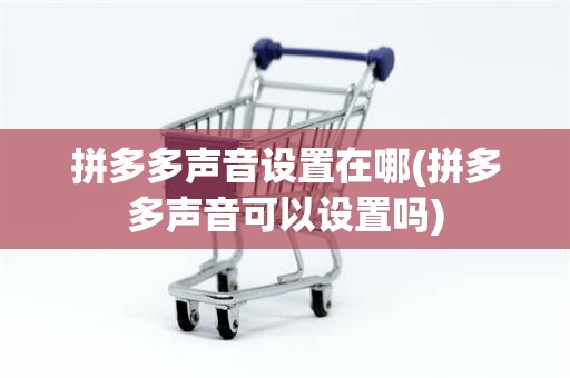 拼多多声音设置在哪(拼多多声音可以设置吗)