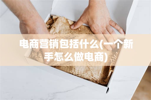 电商营销包括什么(一个新手怎么做电商)