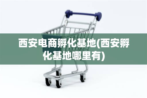 西安电商孵化基地(西安孵化基地哪里有)