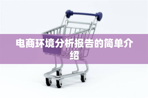 电商环境分析报告的简单介绍