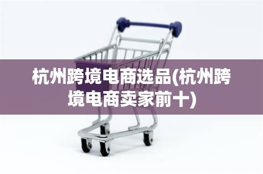 杭州跨境电商选品(杭州跨境电商卖家前十)