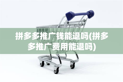 拼多多推广钱能退吗(拼多多推广费用能退吗)