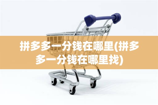 拼多多一分钱在哪里(拼多多一分钱在哪里找)