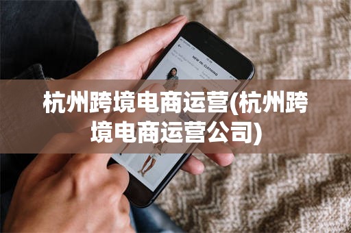 杭州跨境电商运营(杭州跨境电商运营公司)