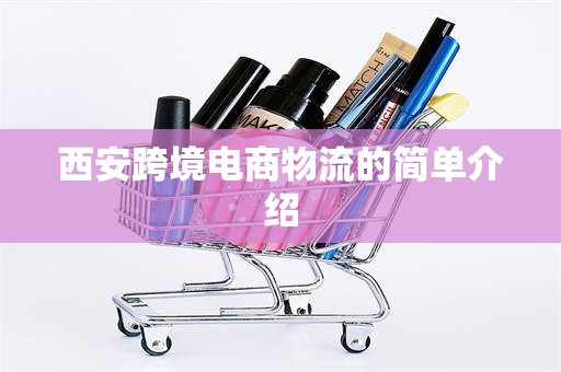 西安跨境电商物流的简单介绍