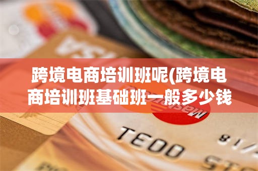 跨境电商培训班呢(跨境电商培训班基础班一般多少钱)
