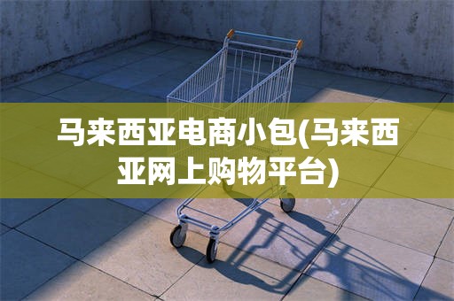马来西亚电商小包(马来西亚网上购物平台)