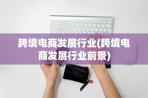 跨境电商发展行业(跨境电商发展行业前景)