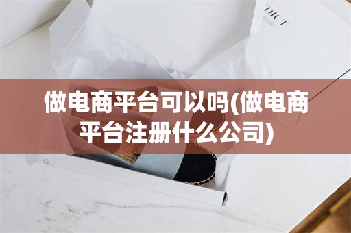 做电商平台可以吗(做电商平台注册什么公司)