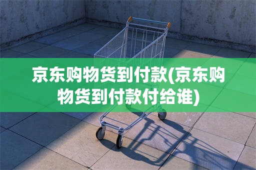 京东购物货到付款(京东购物货到付款付给谁)