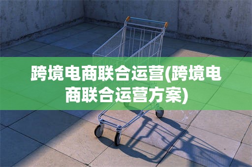 跨境电商联合运营(跨境电商联合运营方案)
