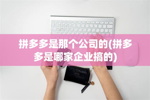 拼多多是那个公司的(拼多多是哪家企业搞的)
