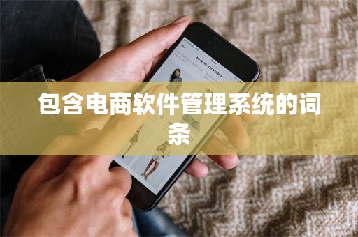 包含电商软件管理系统的词条