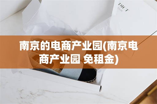 南京的电商产业园(南京电商产业园 免租金)