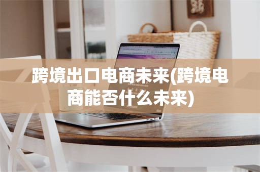 跨境出口电商未来(跨境电商能否什么未来)