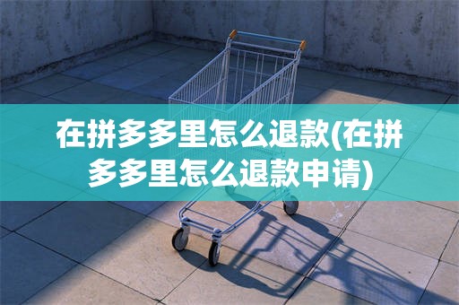 在拼多多里怎么退款(在拼多多里怎么退款申请)