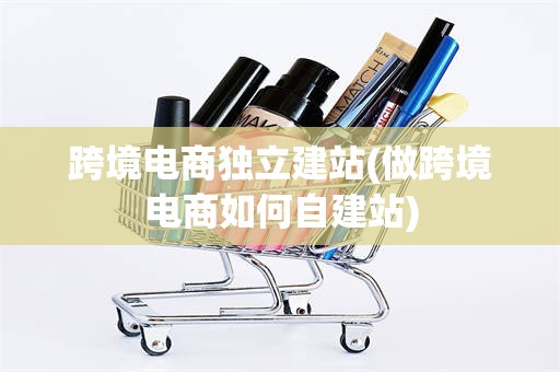 跨境电商独立建站(做跨境电商如何自建站)
