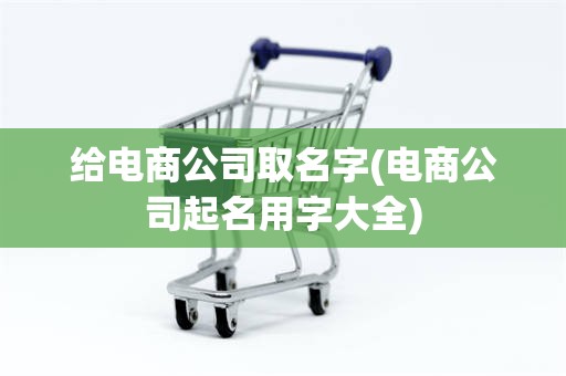 给电商公司取名字(电商公司起名用字大全)
