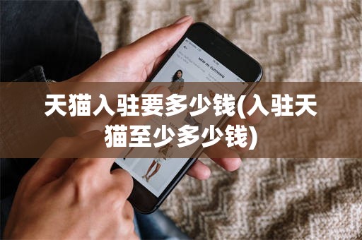 天猫入驻要多少钱(入驻天猫至少多少钱)
