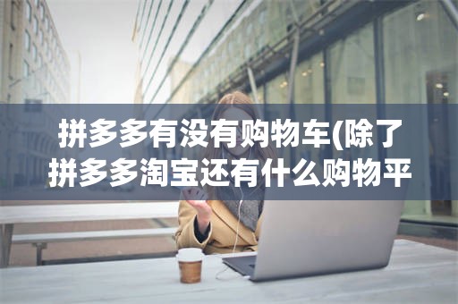 拼多多有没有购物车(除了拼多多淘宝还有什么购物平台)