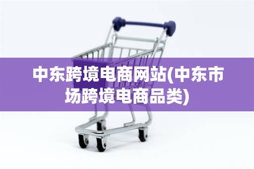 中东跨境电商网站(中东市场跨境电商品类)