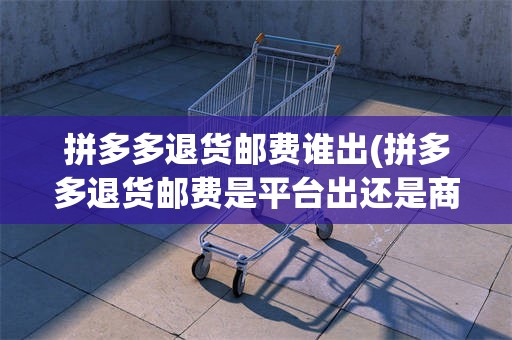 拼多多退货邮费谁出(拼多多退货邮费是平台出还是商家出)