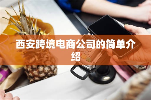 西安跨境电商公司的简单介绍