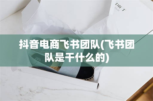 抖音电商飞书团队(飞书团队是干什么的)