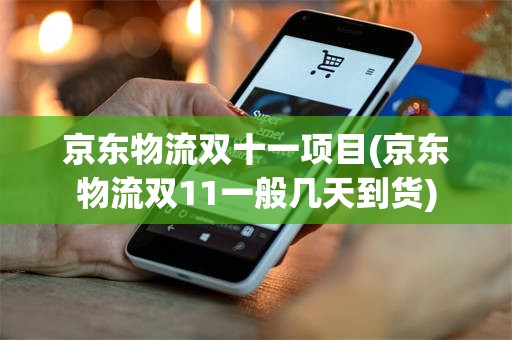 京东物流双十一项目(京东物流双11一般几天到货)