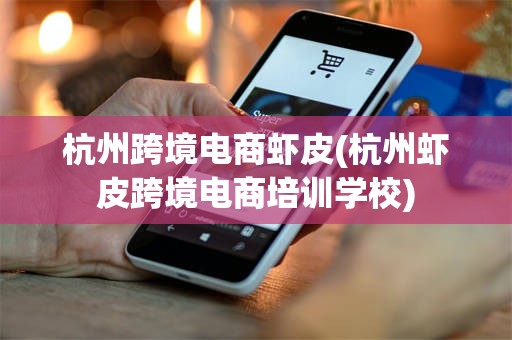 杭州跨境电商虾皮(杭州虾皮跨境电商培训学校)