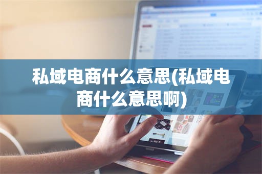 私域电商什么意思(私域电商什么意思啊)