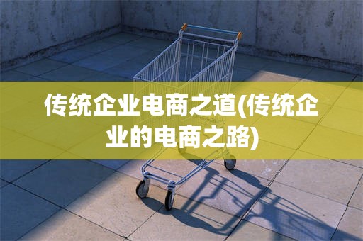 传统企业电商之道(传统企业的电商之路)