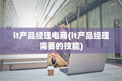 it产品经理电商(it产品经理需要的技能)