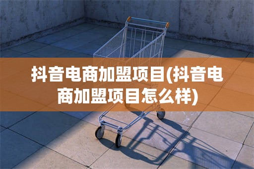 抖音电商加盟项目(抖音电商加盟项目怎么样)