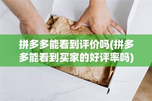 拼多多能看到评价吗(拼多多能看到买家的好评率吗)