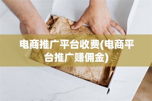 电商推广平台收费(电商平台推广赚佣金)