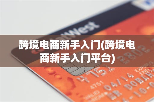 跨境电商新手入门(跨境电商新手入门平台)