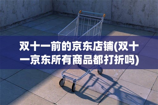 双十一前的京东店铺(双十一京东所有商品都打折吗)