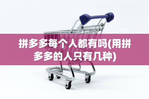 拼多多每个人都有吗(用拼多多的人只有几种)