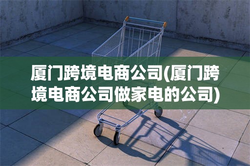 厦门跨境电商公司(厦门跨境电商公司做家电的公司)