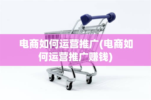 电商如何运营推广(电商如何运营推广赚钱)