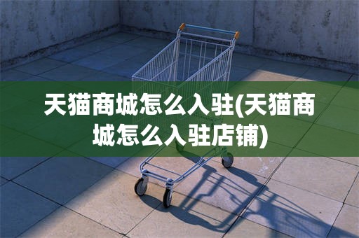 天猫商城怎么入驻(天猫商城怎么入驻店铺)