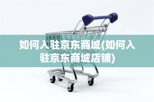 如何入驻京东商城(如何入驻京东商城店铺)