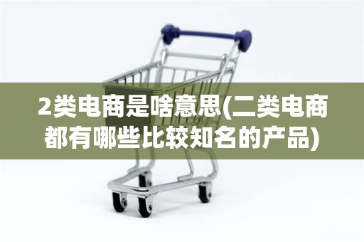 2类电商是啥意思(二类电商都有哪些比较知名的产品)
